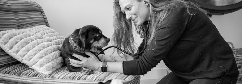 een hond thuis inlaten slapen