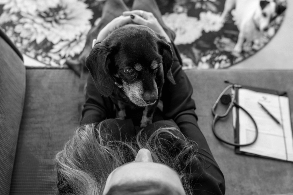 thuis eutanasie van een hond