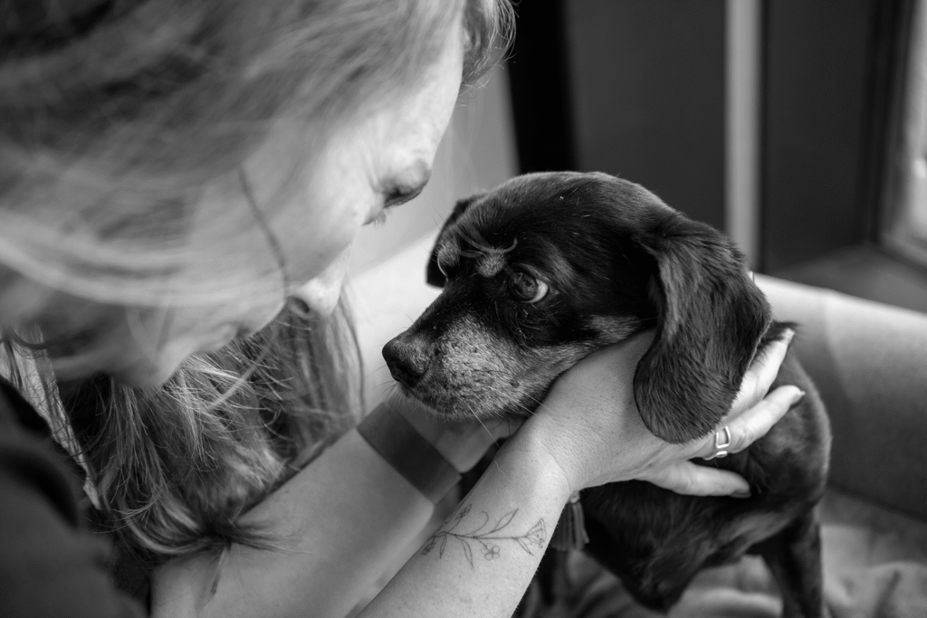 inslapen van een hond aan huis