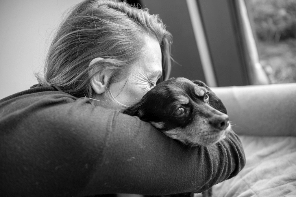 een hond thuis laten inslapen