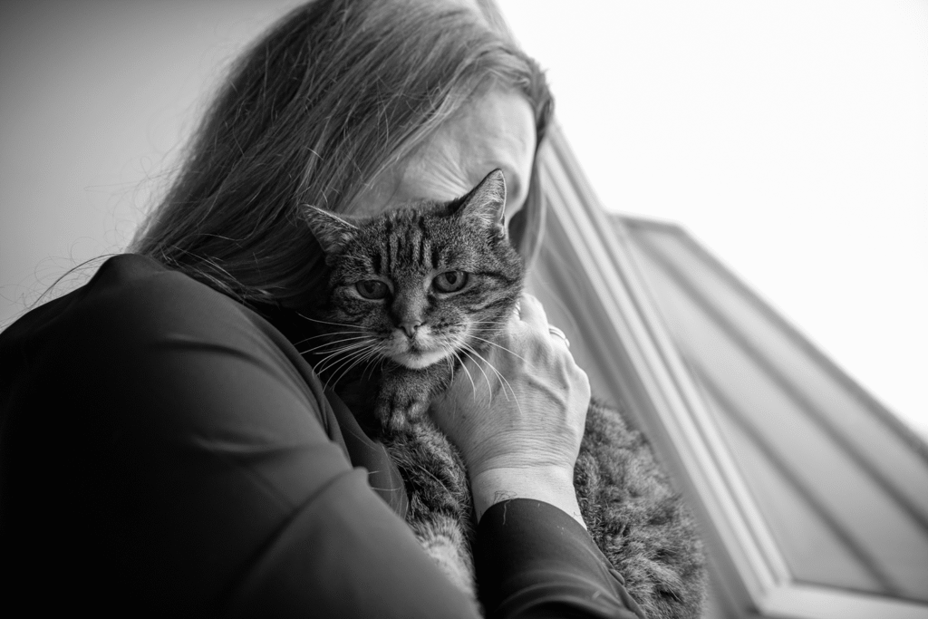 oude kat plast in huis