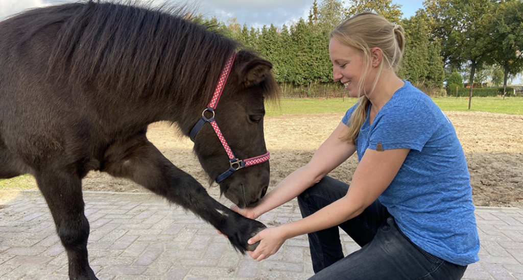 Dierfysiotherapie - Dierfysio Nienke