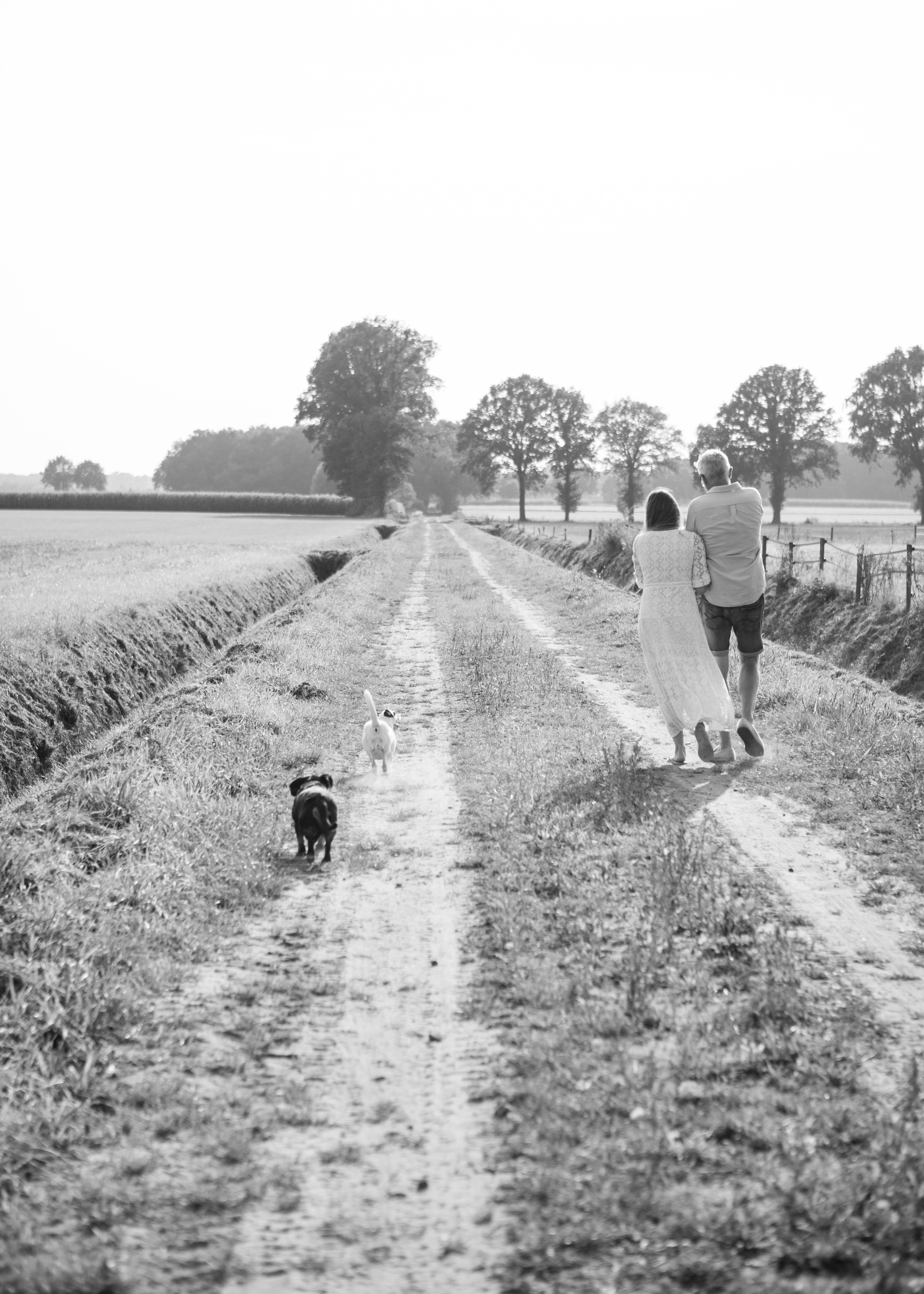 dierenarts aan huis