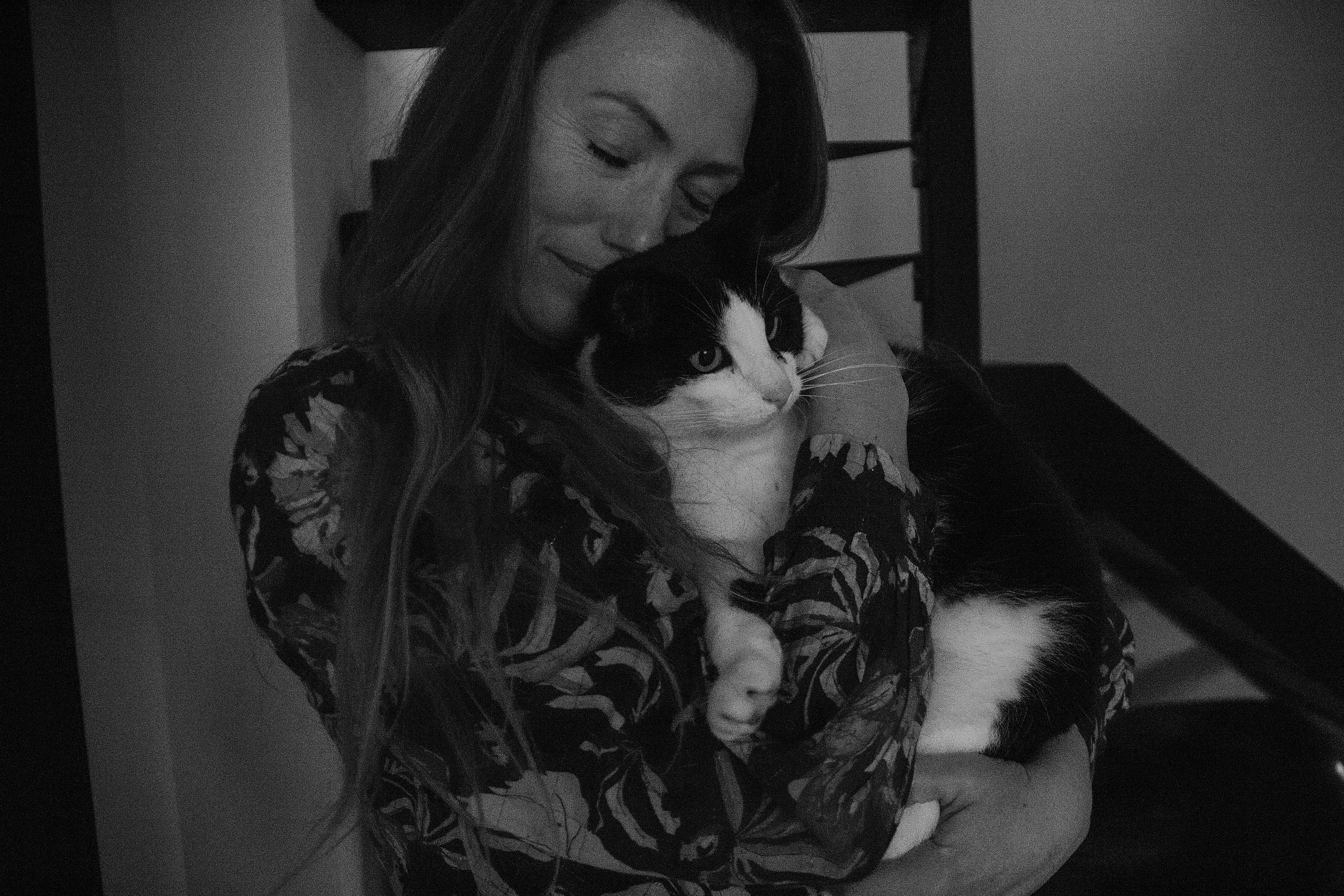 Kat met pijn